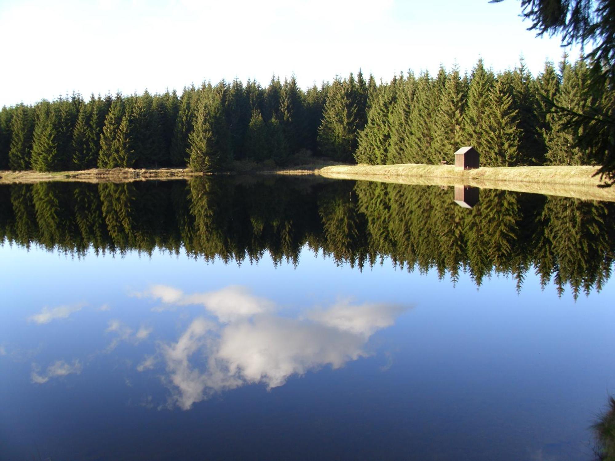 Naturkost-Hotel Harz Bad Grund Eksteriør bilde