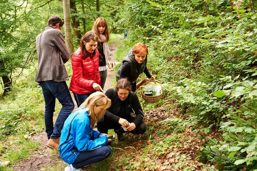 Naturkost-Hotel Harz Bad Grund Eksteriør bilde
