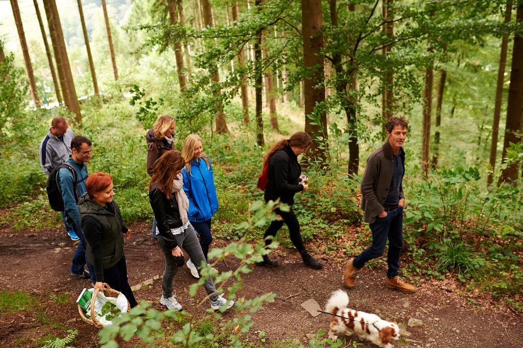 Naturkost-Hotel Harz Bad Grund Eksteriør bilde